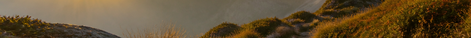 Sentiero alpino